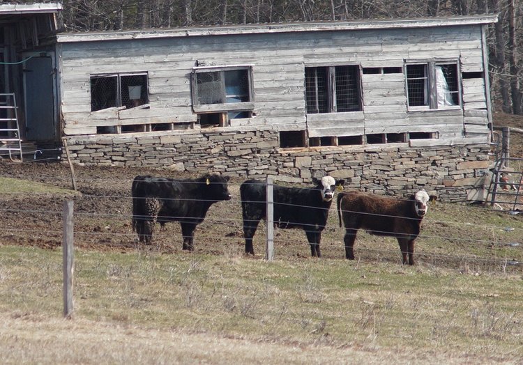 Zoning gets focus in Westerlo The Altamont Enterprise